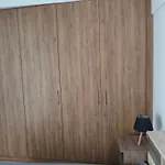 Oikonomou 1 Ermioni